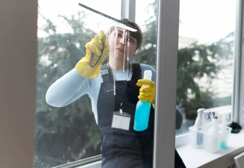 Nettoyage de vitres intérieures et extérieures à Oizon